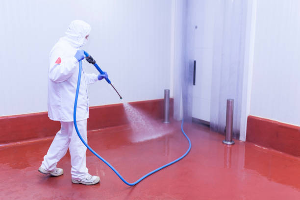 Best Warehouse Cleaning  in Rancho San Diego, CA